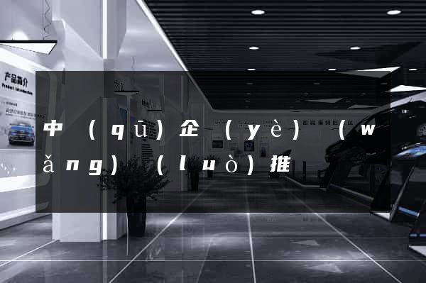 中區(qū)企業(yè)網(wǎng)絡(luò)推廣