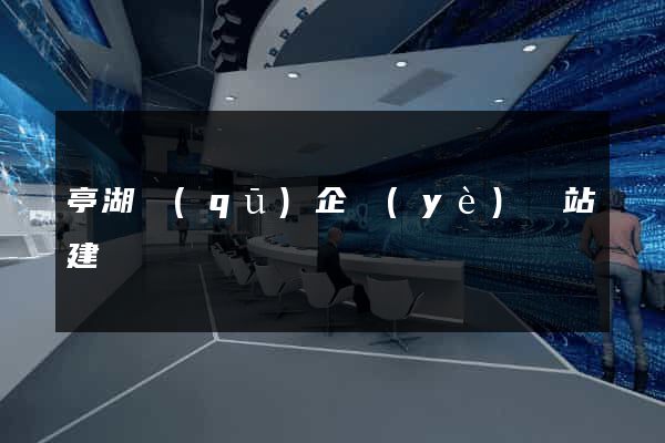 亭湖區(qū)企業(yè)網站建設