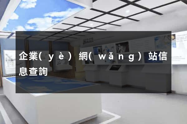 企業(yè)網(wǎng)站信息查詢