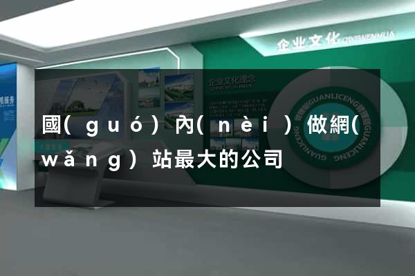 國(guó)內(nèi)做網(wǎng)站最大的公司