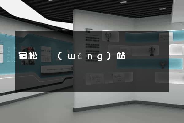 宿松縣網(wǎng)站營銷