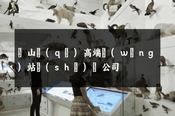 寶山區(qū)高端網(wǎng)站設(shè)計公司