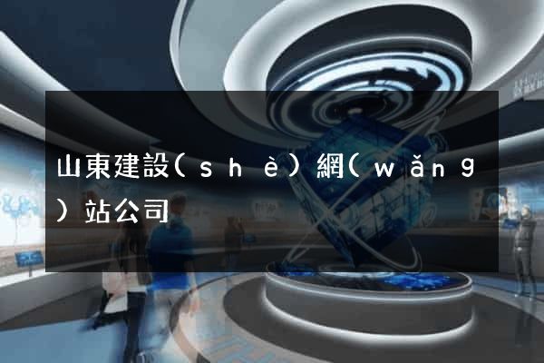 山東建設(shè)網(wǎng)站公司
