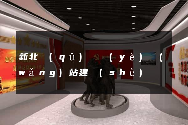 新北區(qū)專業(yè)網(wǎng)站建設(shè)