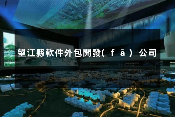 望江縣軟件外包開發(fā)公司