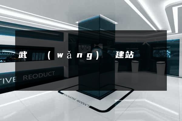 武漢網(wǎng)絡建站