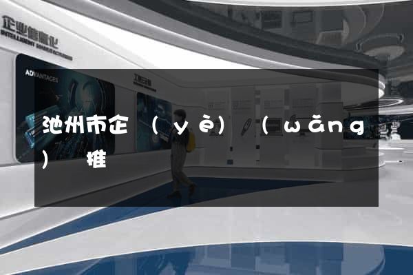池州市企業(yè)網(wǎng)絡推廣
