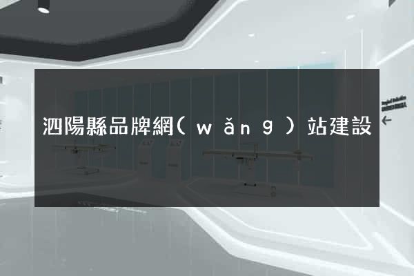 泗陽縣品牌網(wǎng)站建設