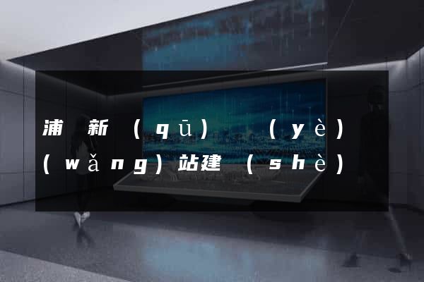 浦東新區(qū)專業(yè)網(wǎng)站建設(shè)