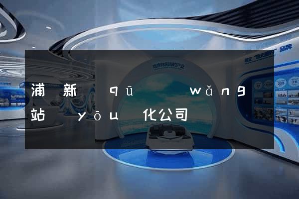 浦東新區(qū)網(wǎng)站優(yōu)化公司