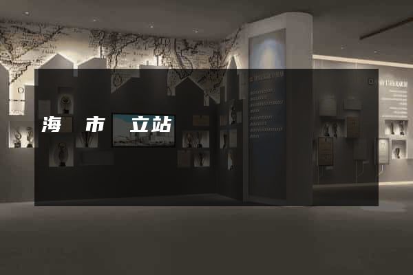 海門市獨立站運營