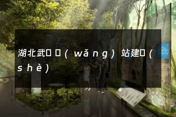 湖北武漢網(wǎng)站建設(shè)