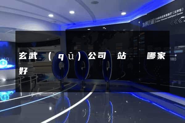 玄武區(qū)公司網站設計哪家好