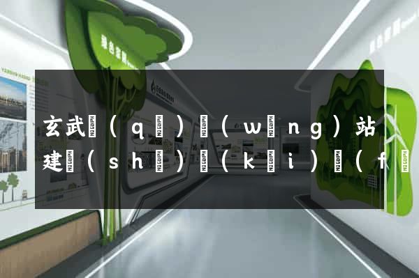 玄武區(qū)網(wǎng)站建設(shè)開(kāi)發(fā)公司