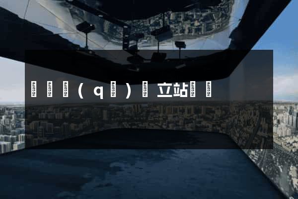 盧灣區(qū)獨立站運營