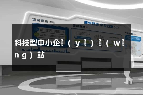 科技型中小企業(yè)網(wǎng)站
