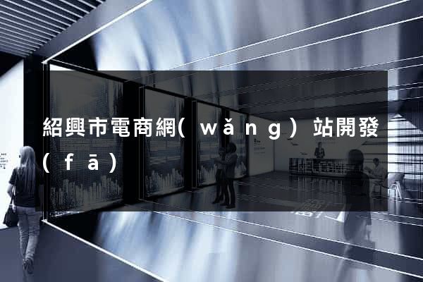 紹興市電商網(wǎng)站開發(fā)