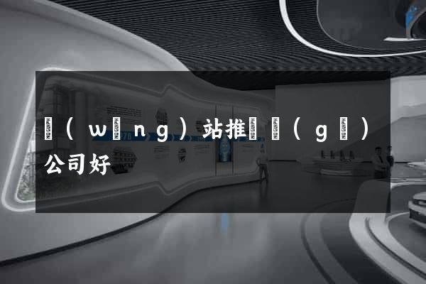 網(wǎng)站推廣個(gè)公司好