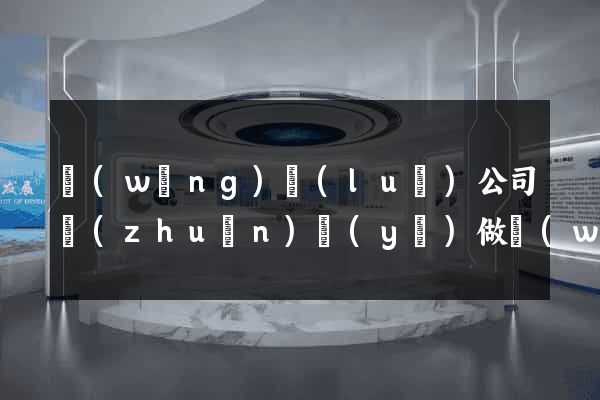 網(wǎng)絡(luò)公司專(zhuān)業(yè)做網(wǎng)站