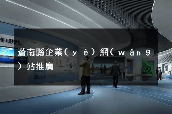 蒼南縣企業(yè)網(wǎng)站推廣