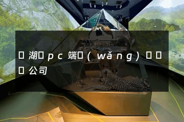 蕪湖縣pc端網(wǎng)頁設計公司