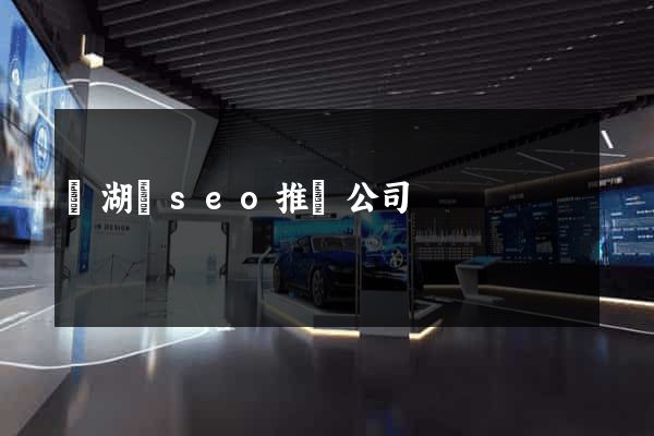 蕪湖縣seo推廣公司