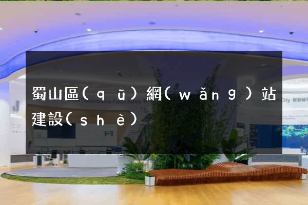 蜀山區(qū)網(wǎng)站建設(shè)