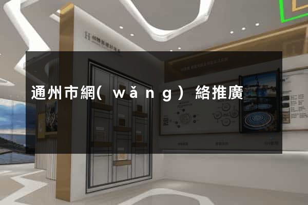 通州市網(wǎng)絡推廣