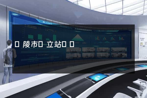 銅陵市獨立站運營