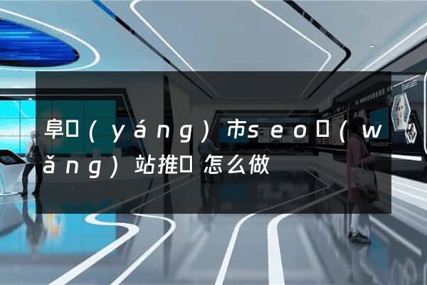 阜陽(yáng)市seo網(wǎng)站推廣怎么做