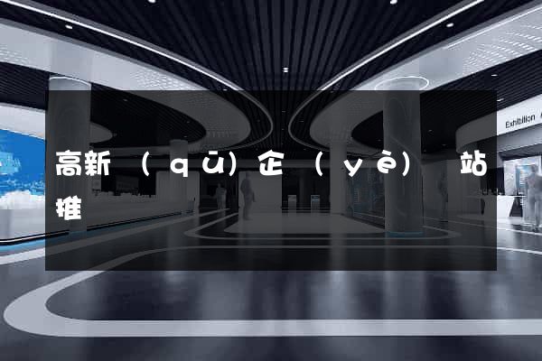 高新區(qū)企業(yè)網站推廣