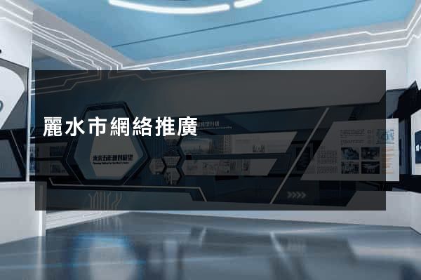 麗水市網絡推廣