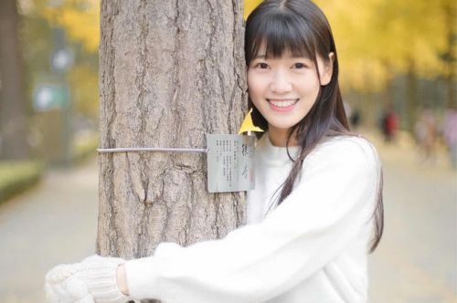 蜀山區(qū)網(wǎng)站建設(shè)開發(fā)公司