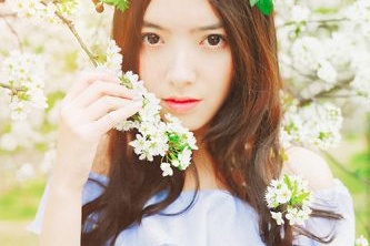 大型門戶網(wǎng)站建設價格公司